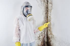 Best Mold Removal for HVAC Installations in Kapolei, HI